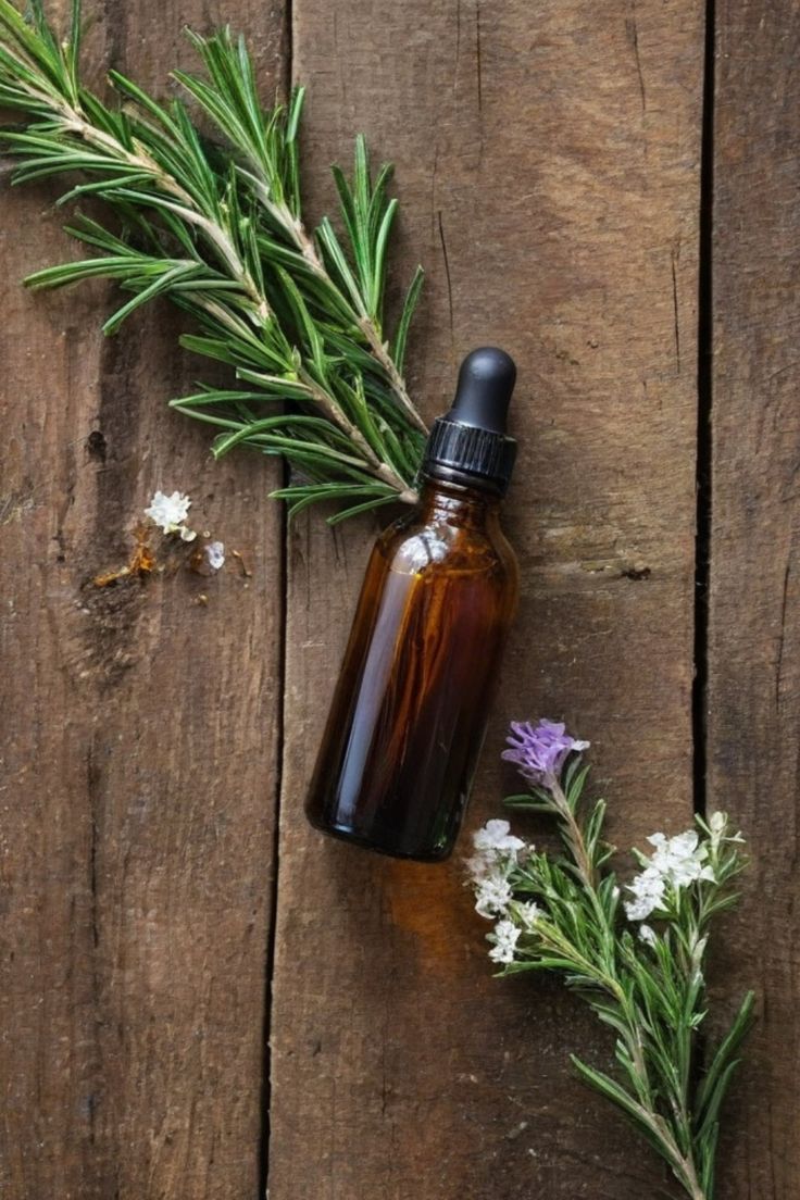 9 best essential oils for bee and wasp stings
