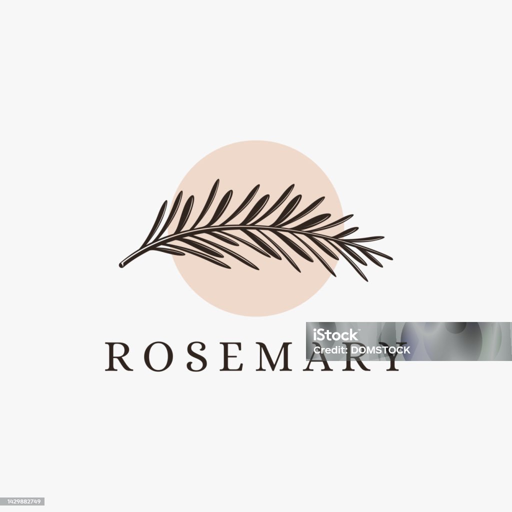 vintage silhouette sprig of rosemary logo icon vector on white background